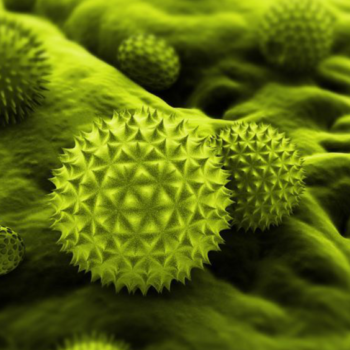 Raman helps to track pollen grains