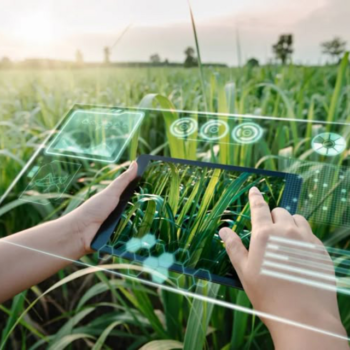 Raman digitalization helps farmers