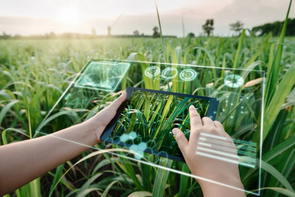 Raman digitalization helps farmers